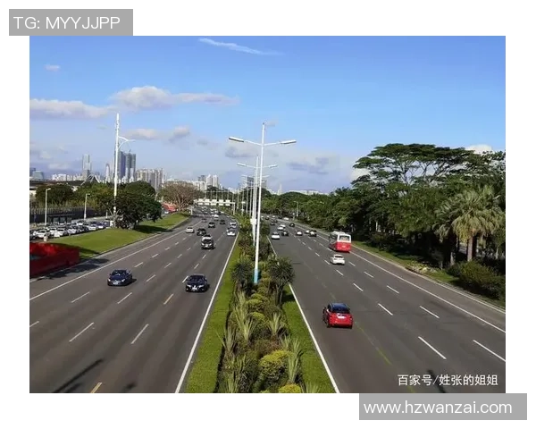 张帆的成长之路：从平凡到卓越的奋斗故事与人生感悟